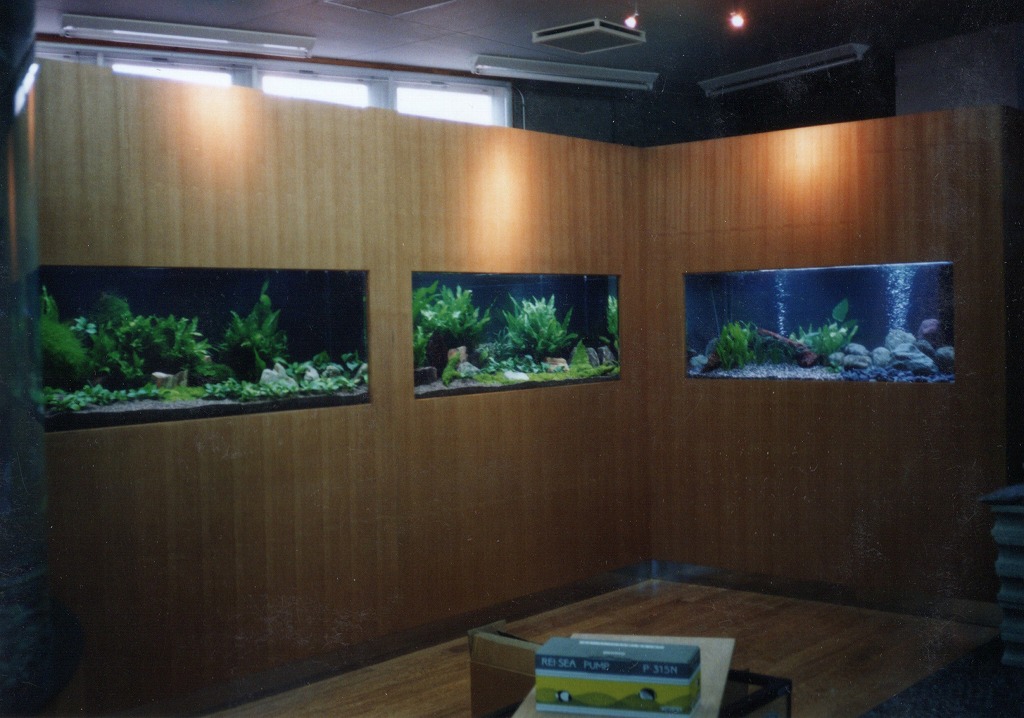 宮崎県 須木村役場 淡水魚水族館
