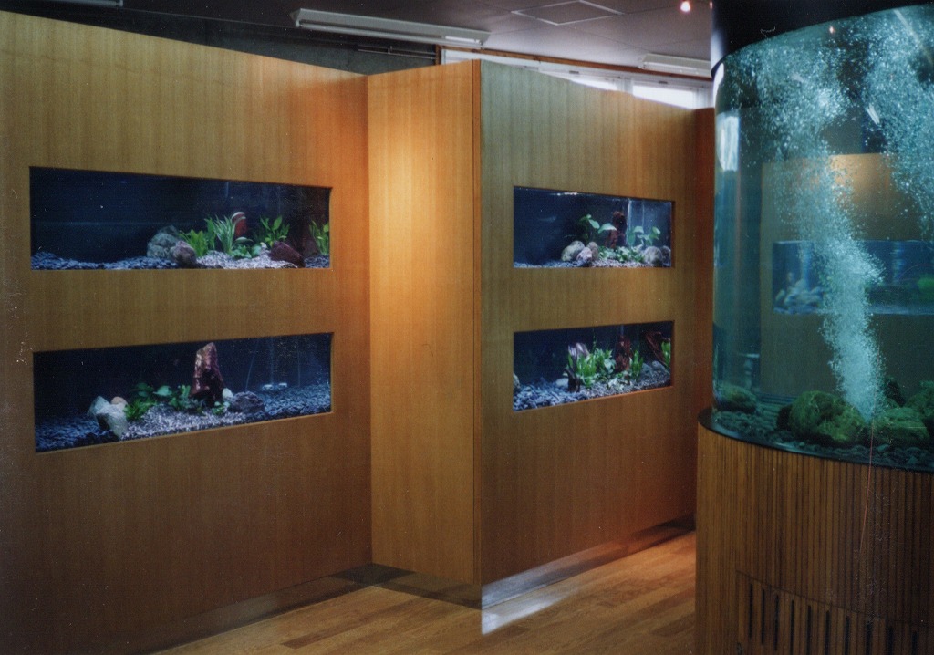 宮崎県 須木村役場 淡水魚水族館
