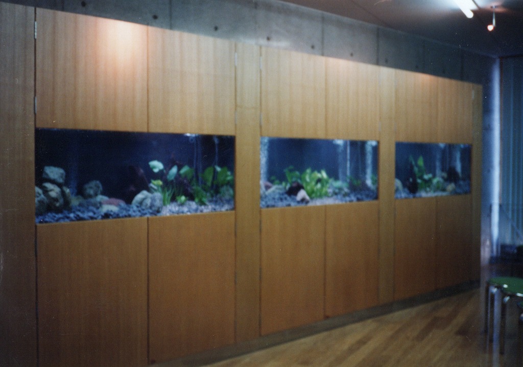 宮崎県 須木村役場 淡水魚水族館