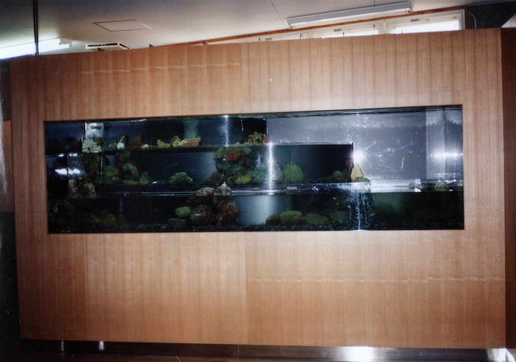 宮崎県 須木村役場 淡水魚水族館