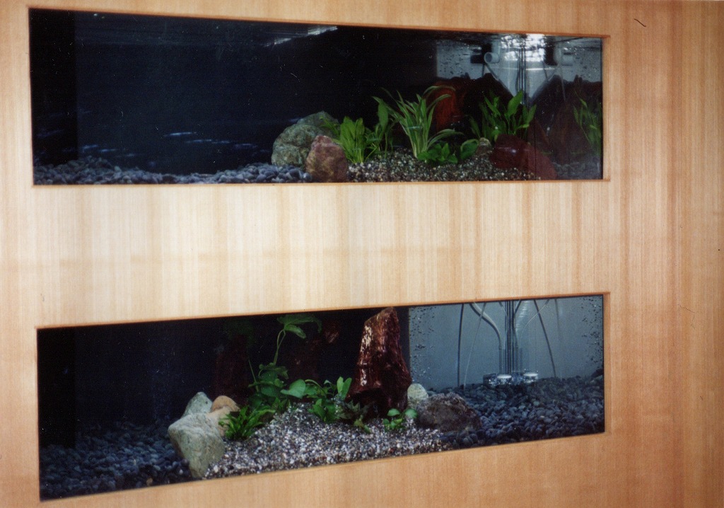 宮崎県 須木村役場 淡水魚水族館