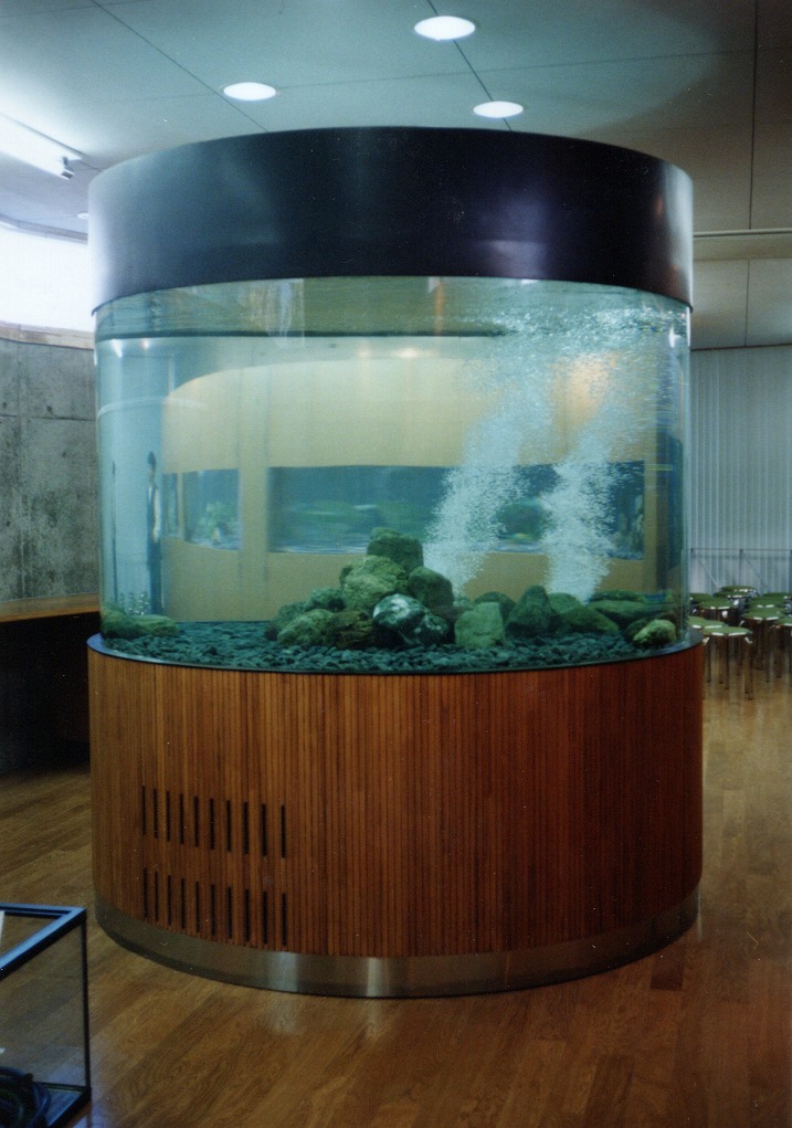 宮崎県 須木村役場 淡水魚水族館