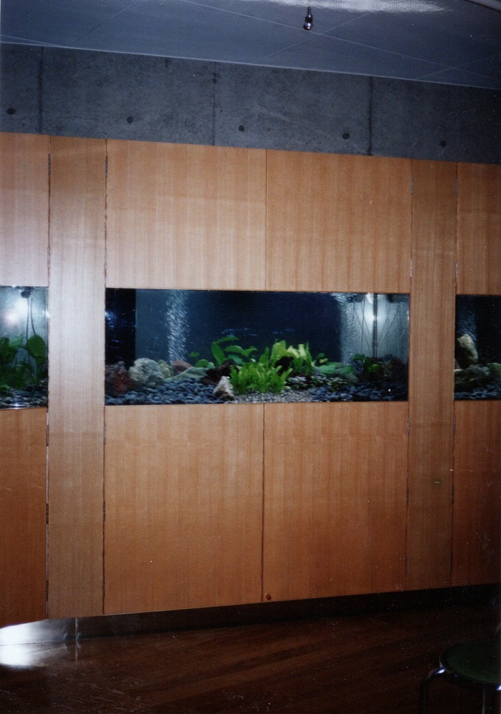 宮崎県 須木村役場 淡水魚水族館