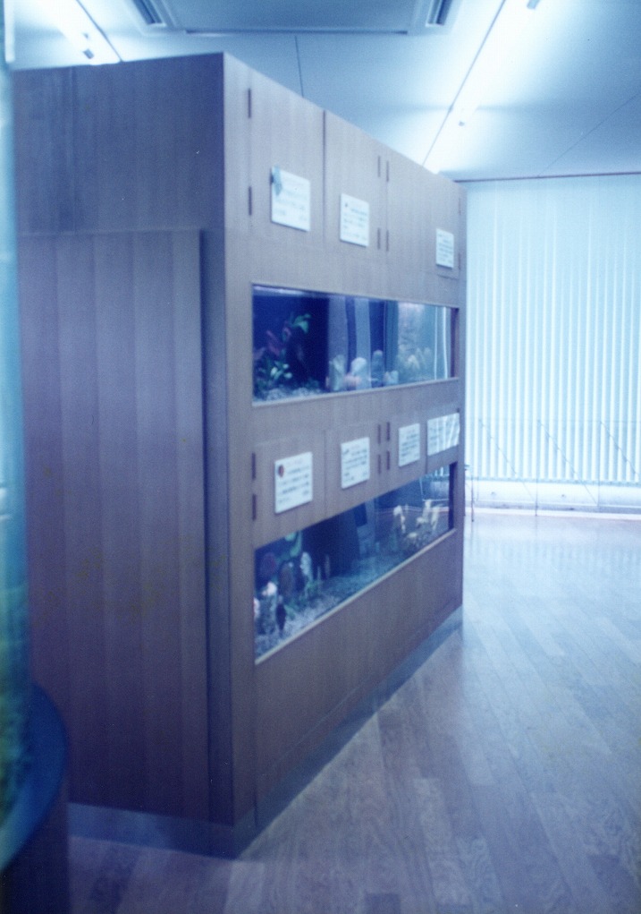宮崎県 須木村役場 淡水魚水族館