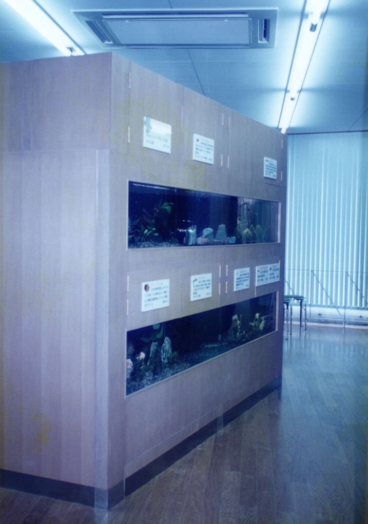 宮崎県 須木村役場 淡水魚水族館