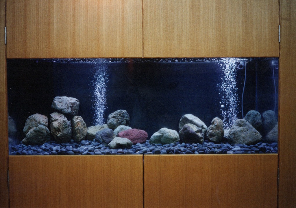 宮崎県 須木村役場 淡水魚水族館