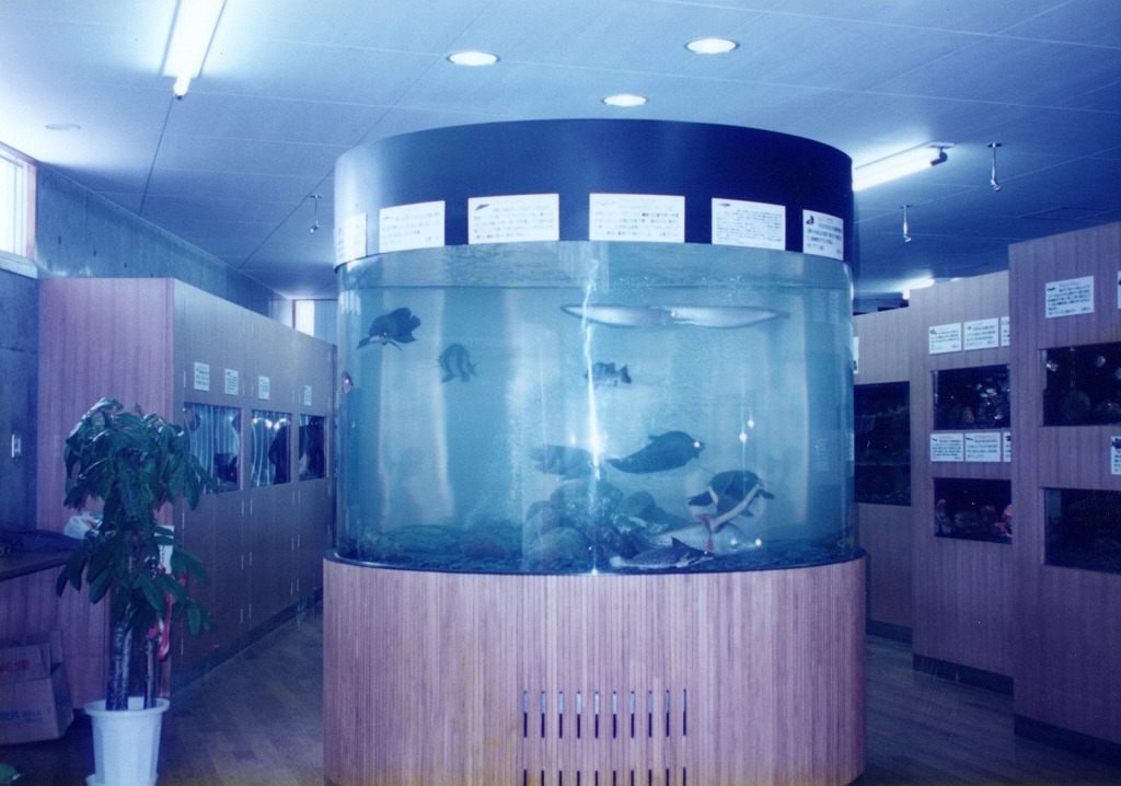 宮崎県 須木村役場 淡水魚水族館