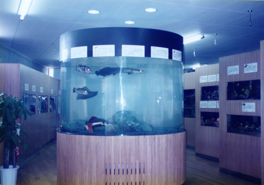 宮崎県 須木村役場 淡水魚水族館