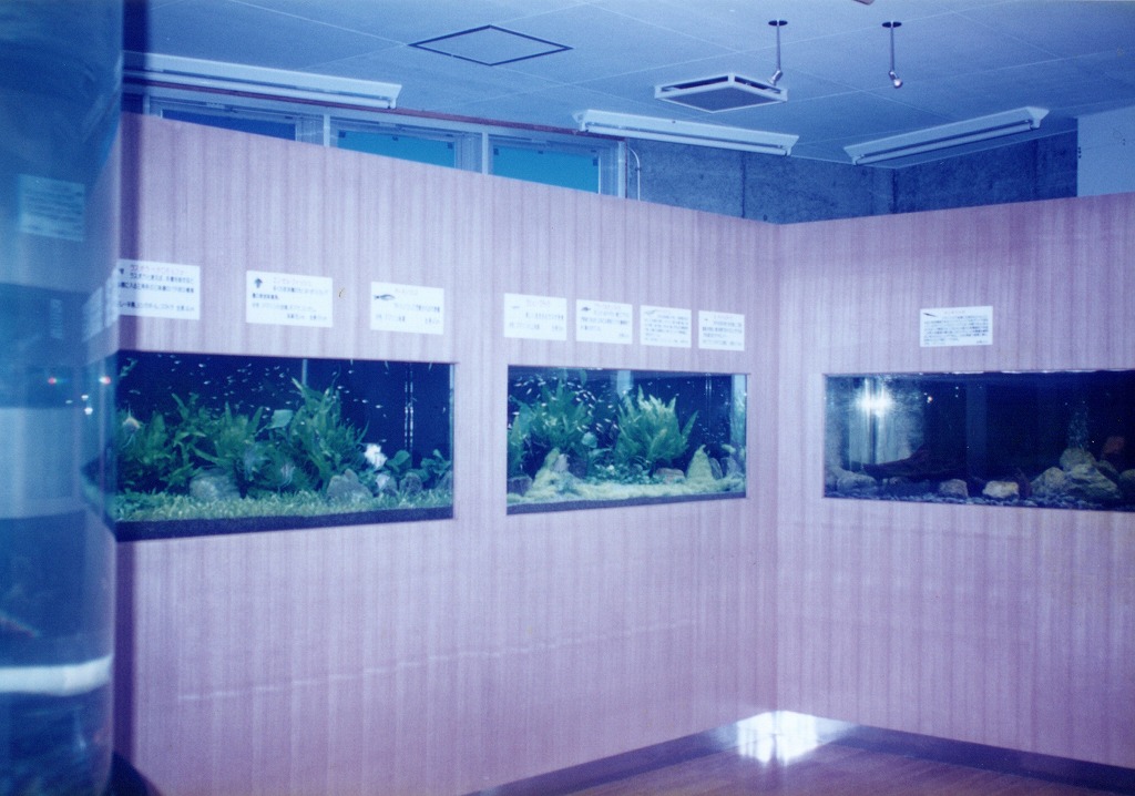 宮崎県 須木村役場 淡水魚水族館