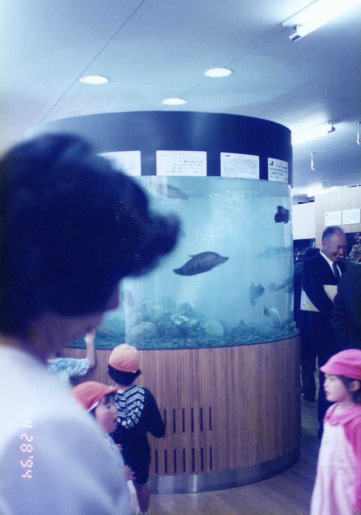 宮崎県 須木村役場 淡水魚水族館