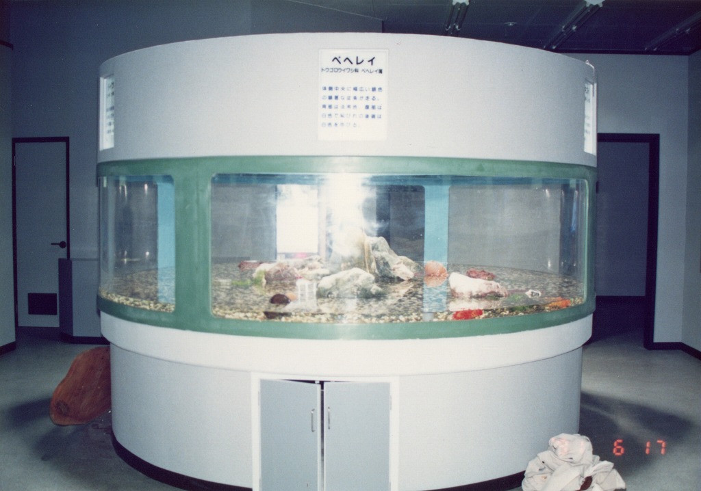 宮崎県 須木村役場 淡水魚水族館