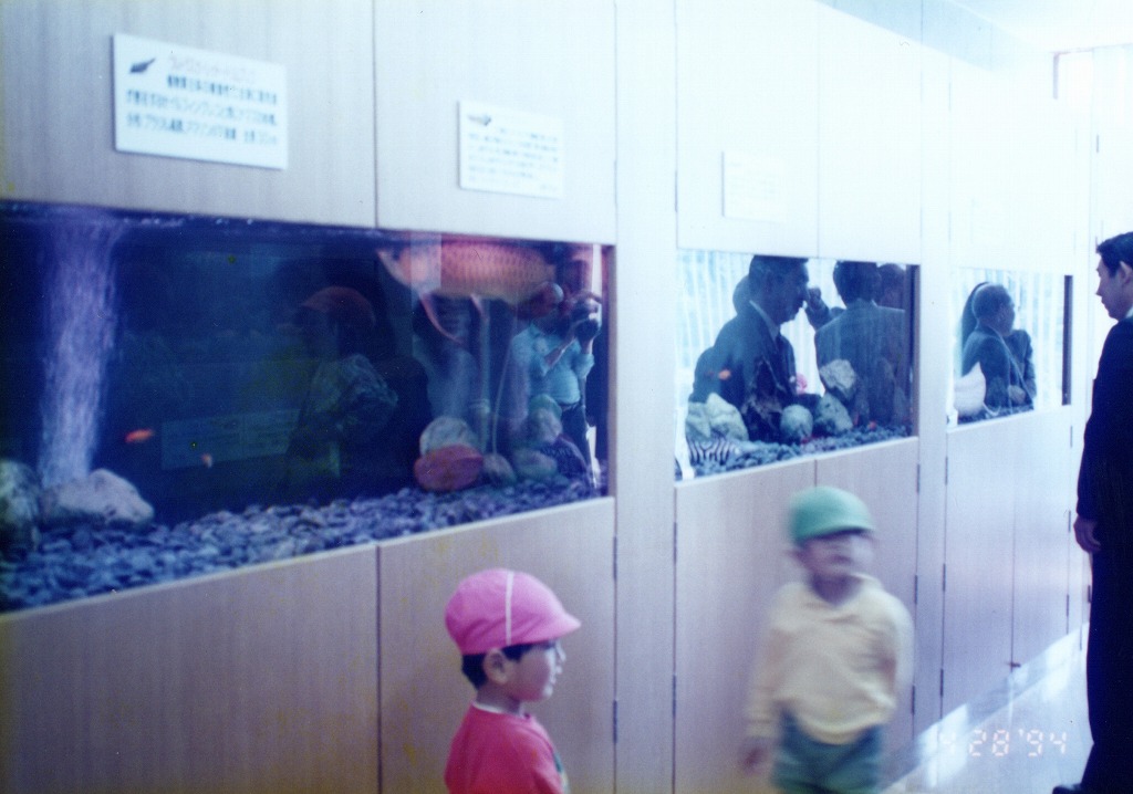 宮崎県 須木村役場 淡水魚水族館