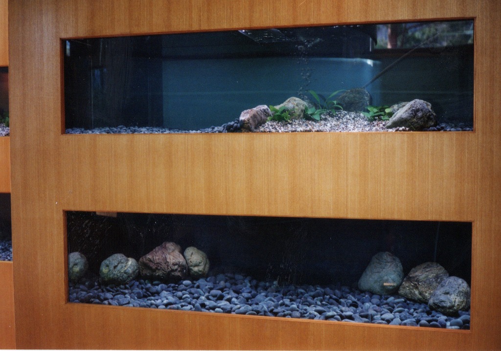 宮崎県 須木村役場 淡水魚水族館