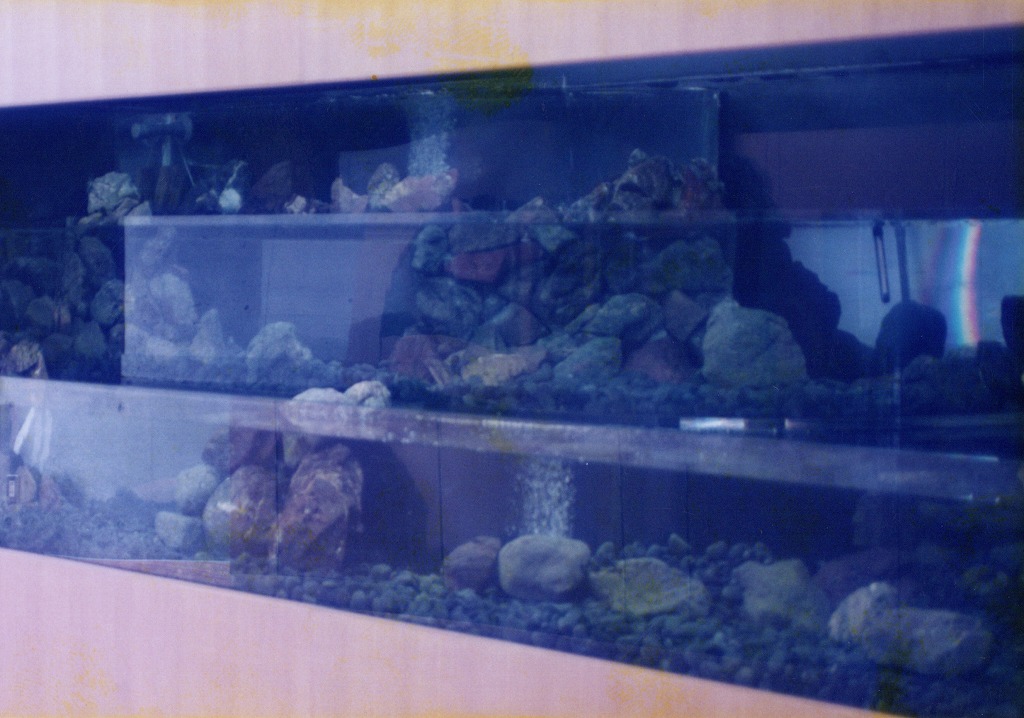 宮崎県 須木村役場 淡水魚水族館