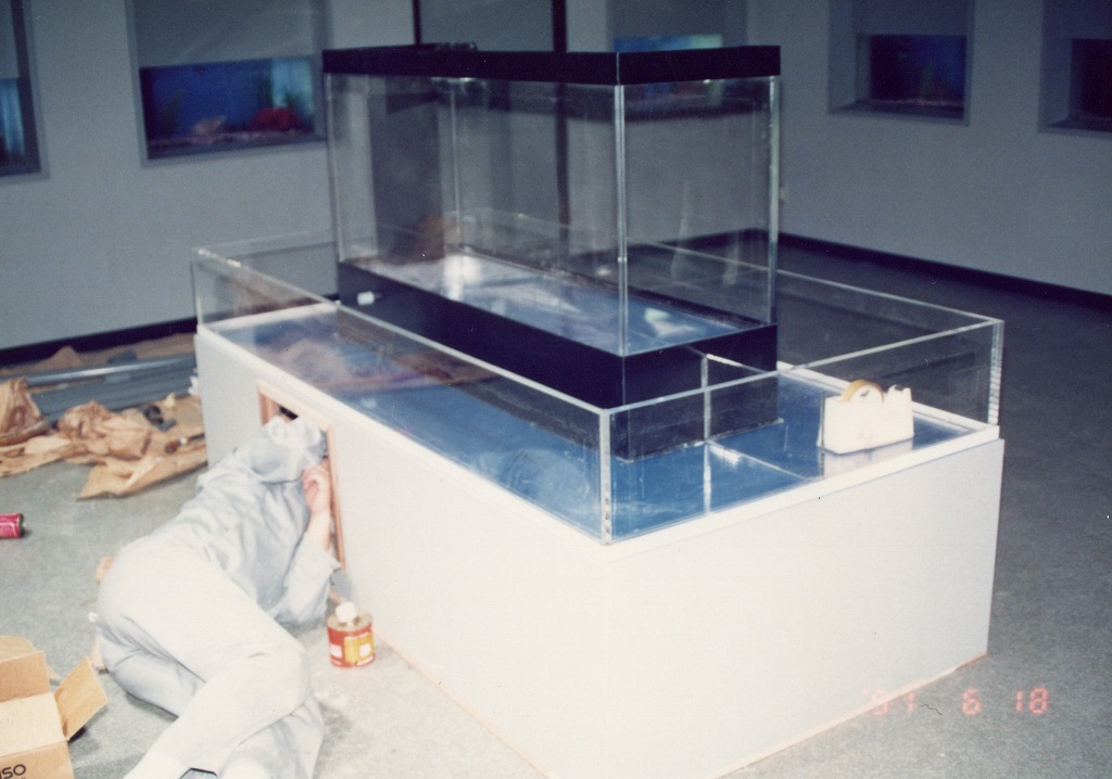 宮崎県 須木村役場 淡水魚水族館