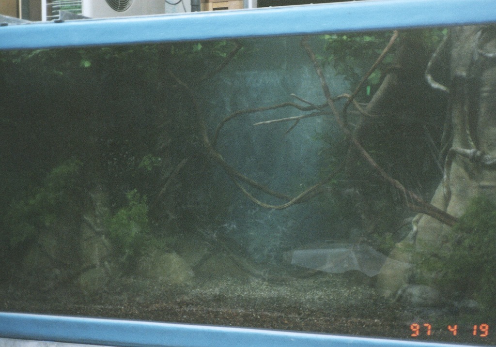 長崎亜熱帯植物園ビジターセンター