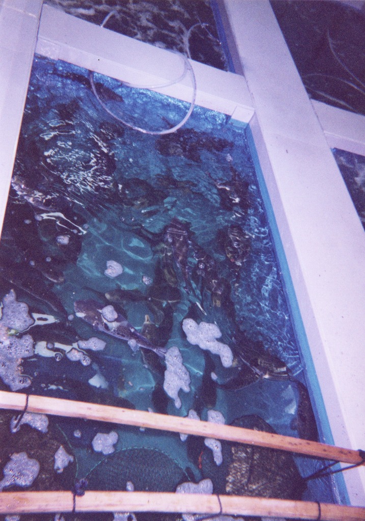 海宴亭 福岡店