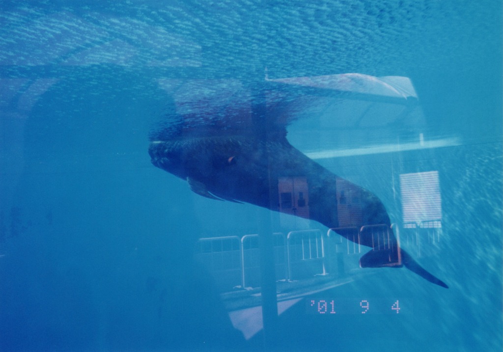 マリンワールド水族館