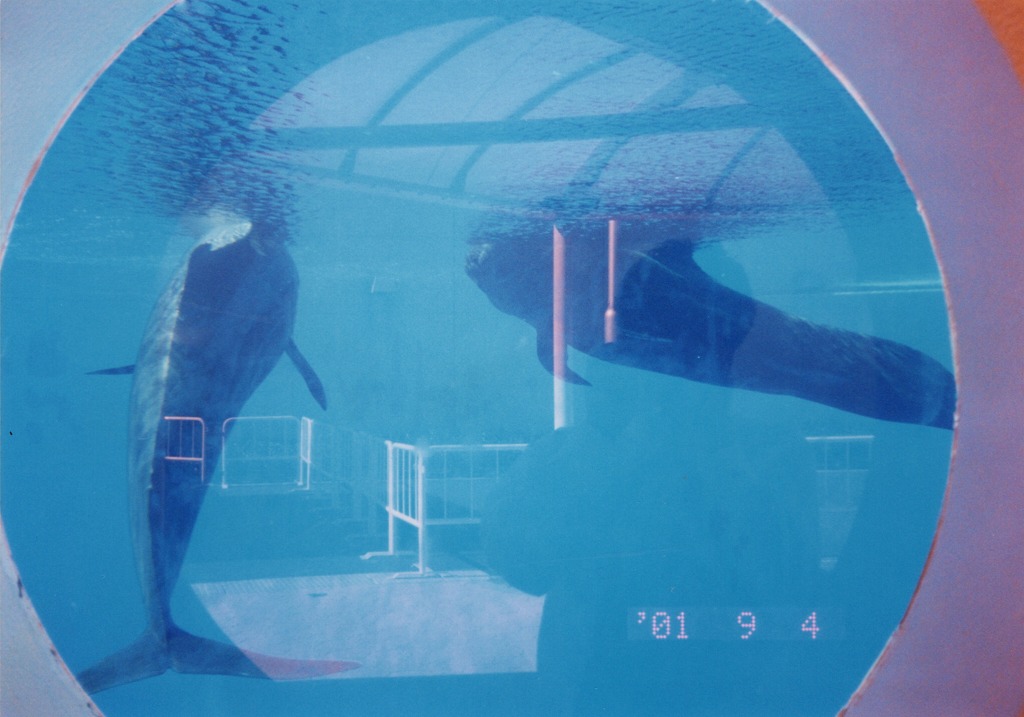 マリンワールド水族館