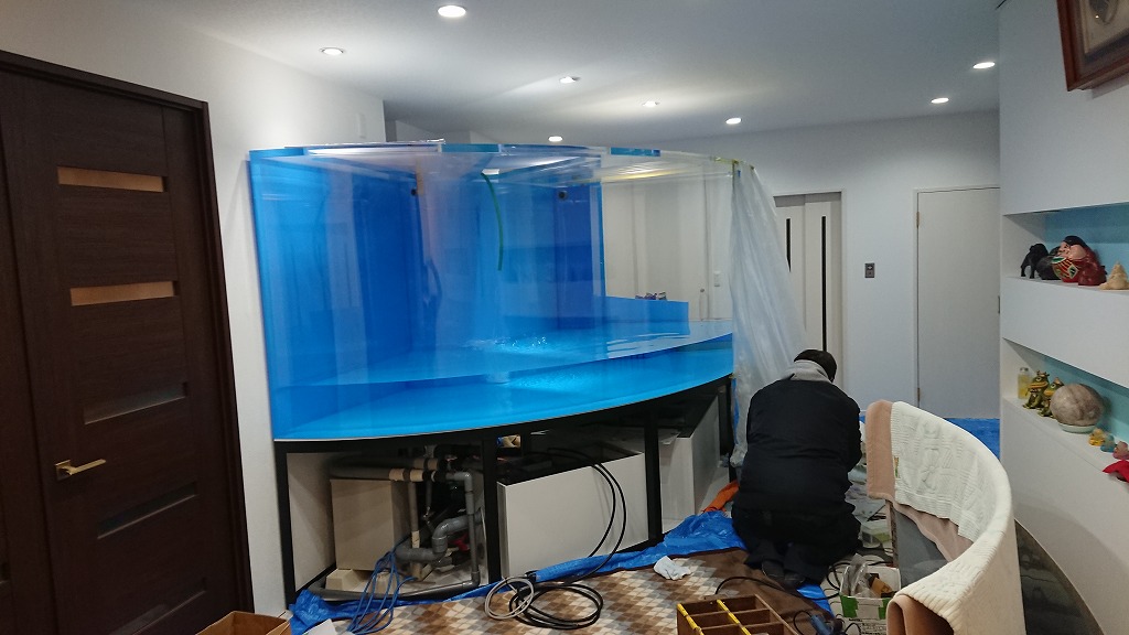 鑑賞用鯉水槽